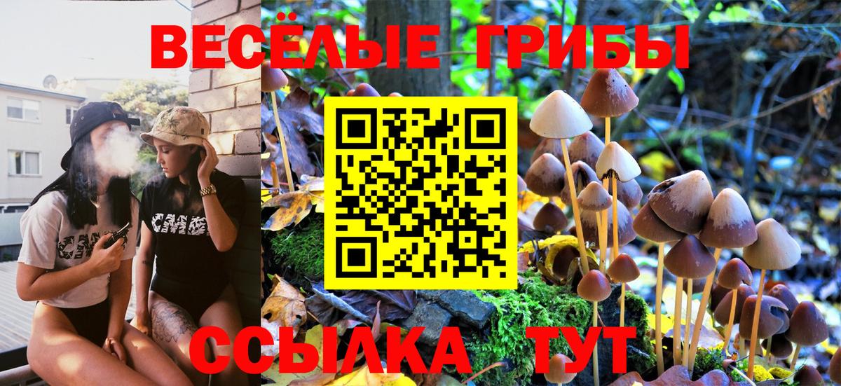 Псилоцибиновые грибы Psilocybe  Вход с VPN  Белгород 