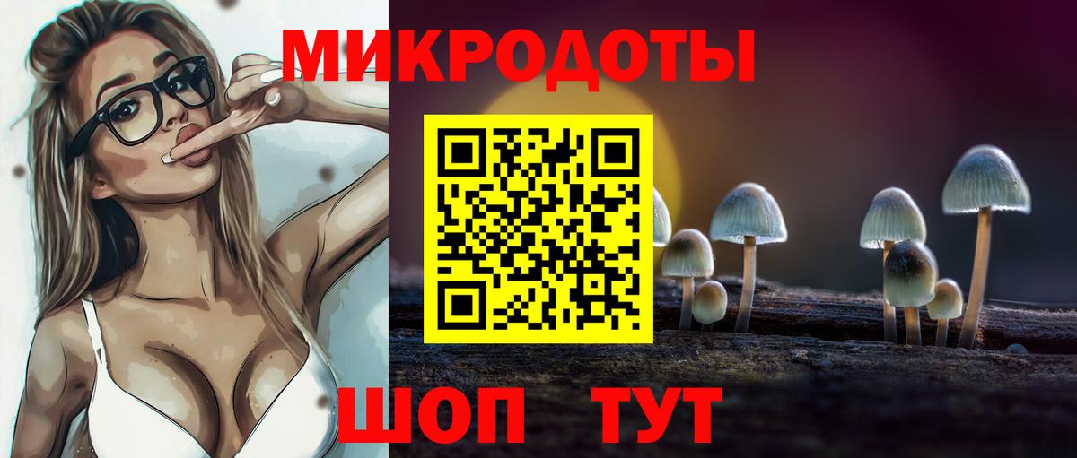 Галлюциногенные грибы прущие грибы Белгород